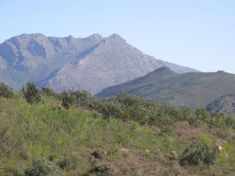0 Bedroom Property for Sale in Piketberg Rural Western Cape